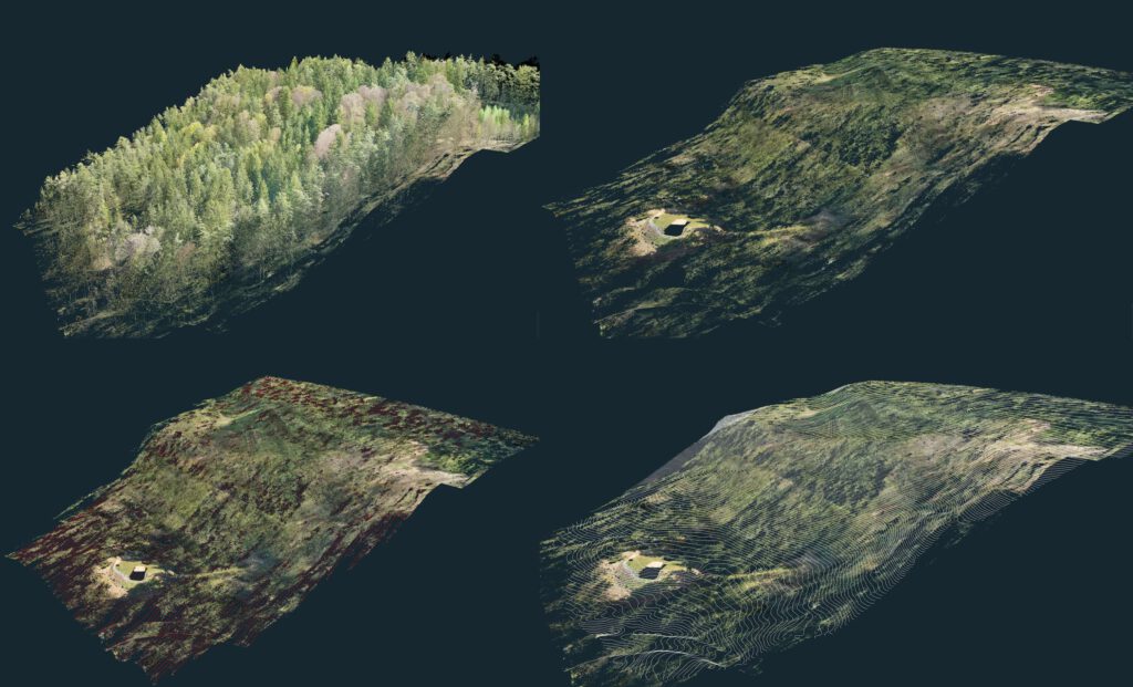 Hanganalyse mit Höhenlinien und Vegetation - Aufgenommen mit LiDAR Technologie