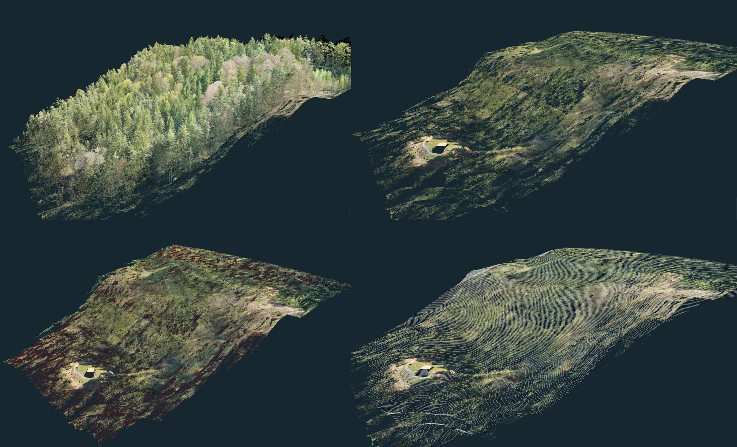 Hanganalye mit Höhenlinien und Vegetation - Aufgenommen mit LiDAR Technologie